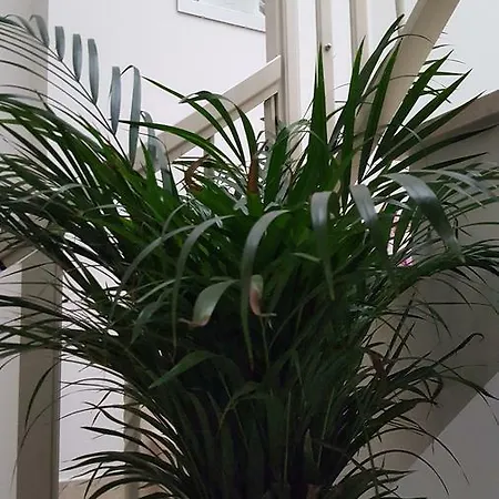 Terra Priziusa Alojamento de Acomodação e Pequeno-almoço 2*